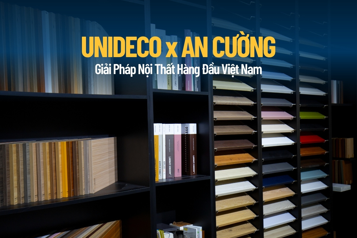 thiết kế thi công nội thất vũng tàu